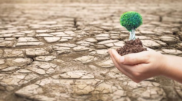 Preserving the Middle East’s Land: Combating Desertification and Land Degradation